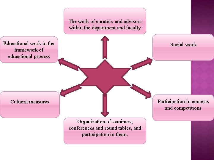 The work of curators and advisors within the department and faculty Educational work in