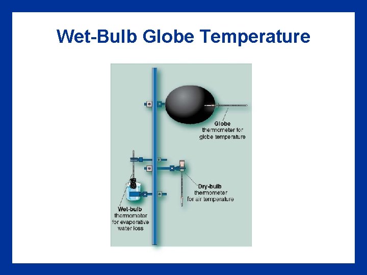 Wet-Bulb Globe Temperature Wet-Bulb Globe Temperature