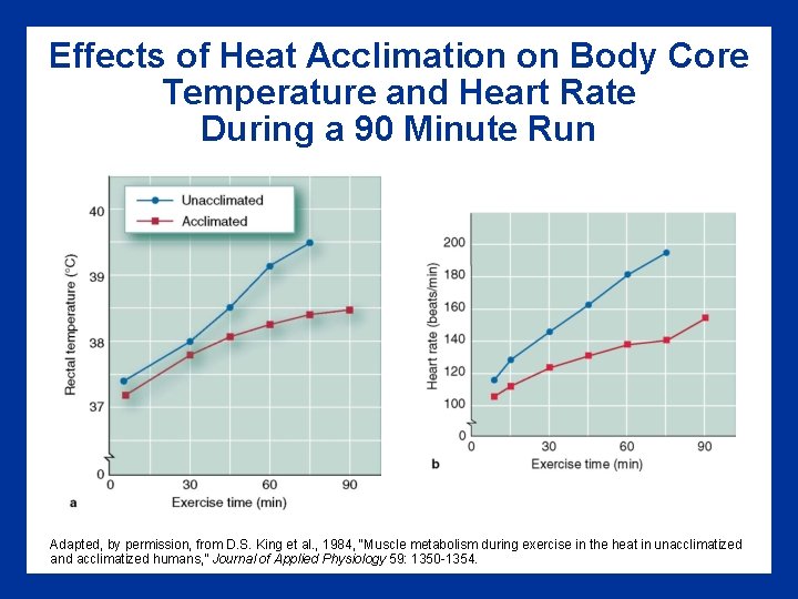 Effects of Heat Acclimation on Body Core Temperature and Heart Rate During a 90 Effects of Heat Acclimation on Body Core Temperature and Heart Rate During a 90