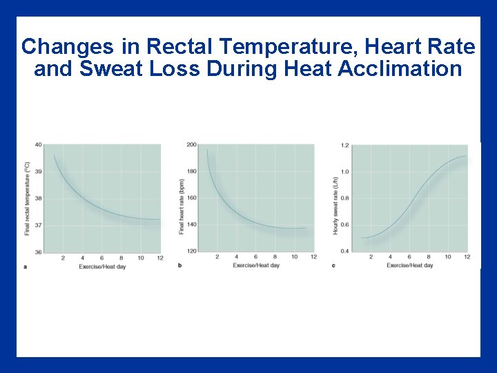 Changes in Rectal Temperature, Heart Rate and Sweat Loss During Heat Acclimation Changes in Rectal Temperature, Heart Rate and Sweat Loss During Heat Acclimation