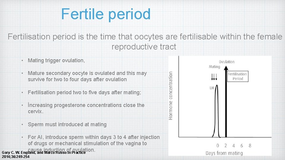 Fertile period Fertilisation period is the time that oocytes are fertilisable within the female