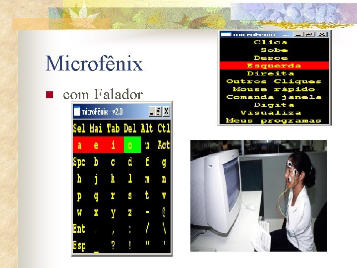 Microfênix n com Falador 