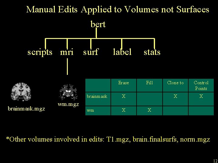 Manual Edits Applied to Volumes not Surfaces bert scripts mri surf label Erase brainmask.