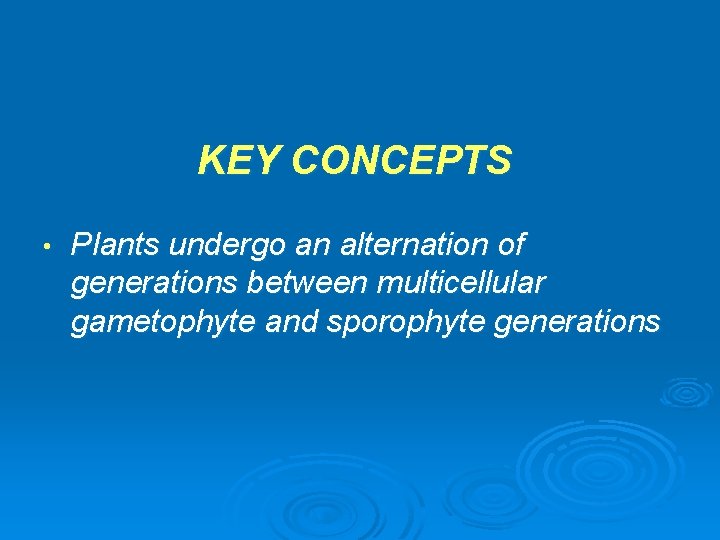 KEY CONCEPTS • Plants undergo an alternation of generations between multicellular gametophyte and sporophyte