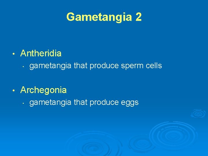 Gametangia 2 • Antheridia • • gametangia that produce sperm cells Archegonia • gametangia