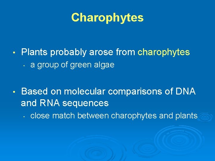 Charophytes • Plants probably arose from charophytes • • a group of green algae