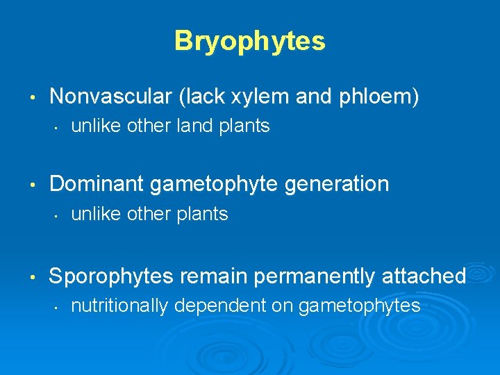 Bryophytes • Nonvascular (lack xylem and phloem) • • Dominant gametophyte generation • •