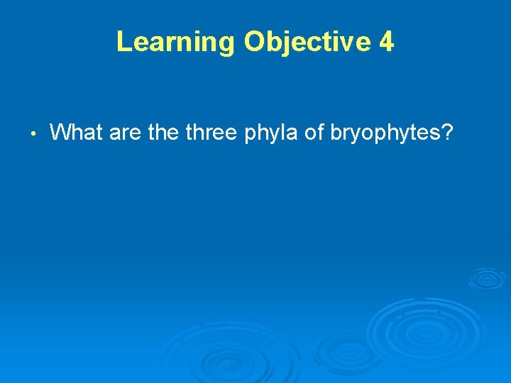 Learning Objective 4 • What are three phyla of bryophytes? 
