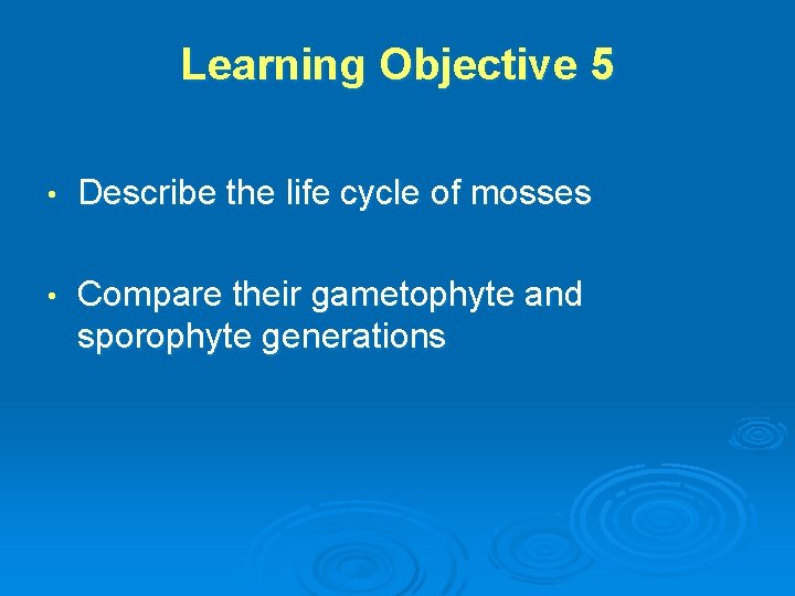 Learning Objective 5 • Describe the life cycle of mosses • Compare their gametophyte