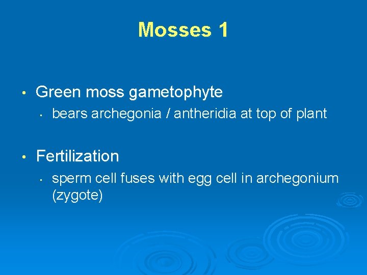Mosses 1 • Green moss gametophyte • • bears archegonia / antheridia at top