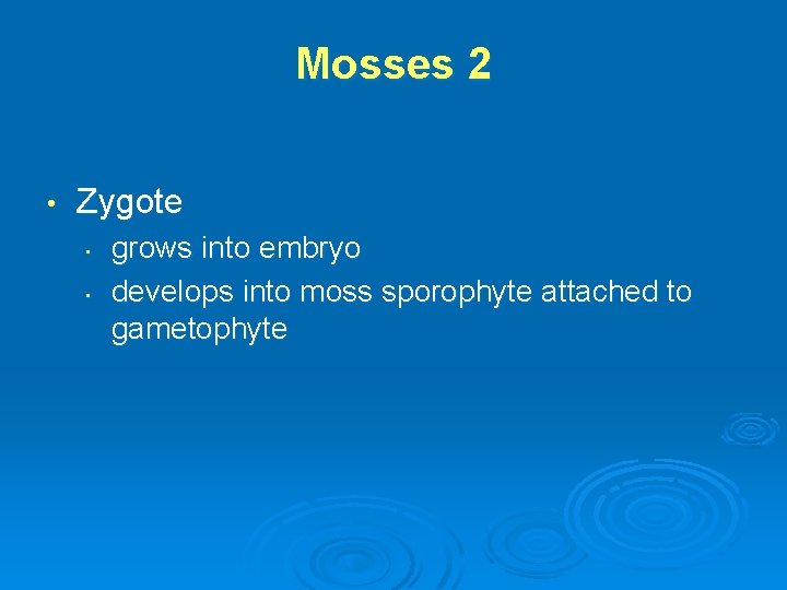 Mosses 2 • Zygote • • grows into embryo develops into moss sporophyte attached