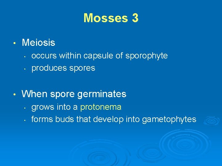 Mosses 3 • Meiosis • • • occurs within capsule of sporophyte produces spores