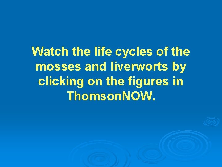 Watch the life cycles of the mosses and liverworts by clicking on the figures