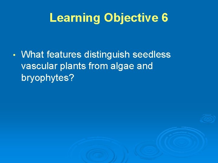 Learning Objective 6 • What features distinguish seedless vascular plants from algae and bryophytes?