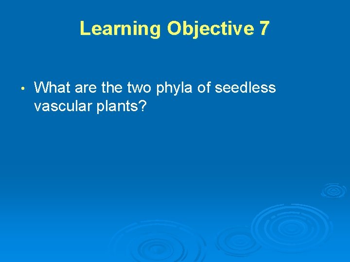 Learning Objective 7 • What are the two phyla of seedless vascular plants? 