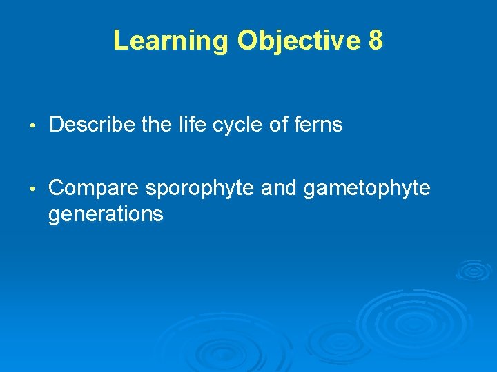 Learning Objective 8 • Describe the life cycle of ferns • Compare sporophyte and