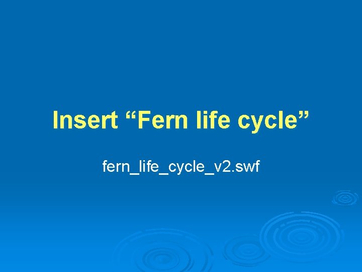 Insert “Fern life cycle” fern_life_cycle_v 2. swf 