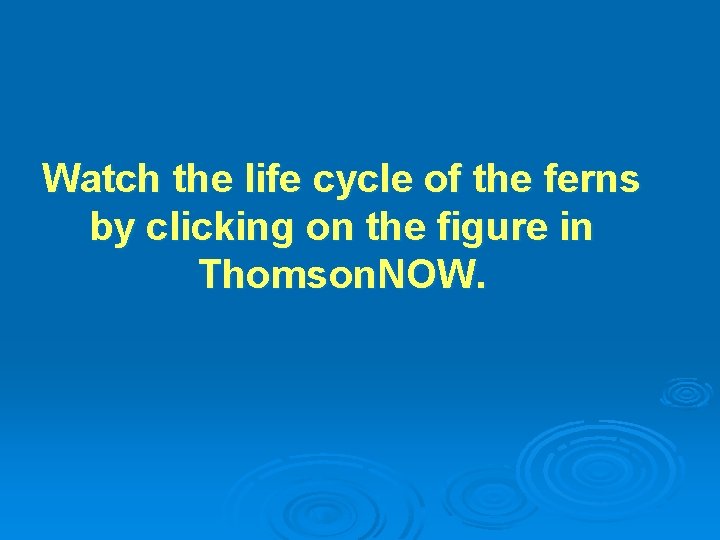 Watch the life cycle of the ferns by clicking on the figure in Thomson.