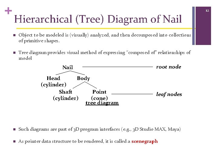 + Hierarchical (Tree) Diagram of Nail n Object to be modeled is (visually) analyzed,