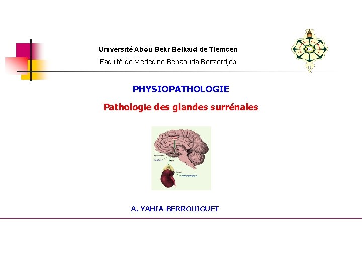 Université Abou Bekr Belkaïd de Tlemcen Faculté de Médecine Benaouda Benzerdjeb PHYSIOPATHOLOGIE Pathologie des