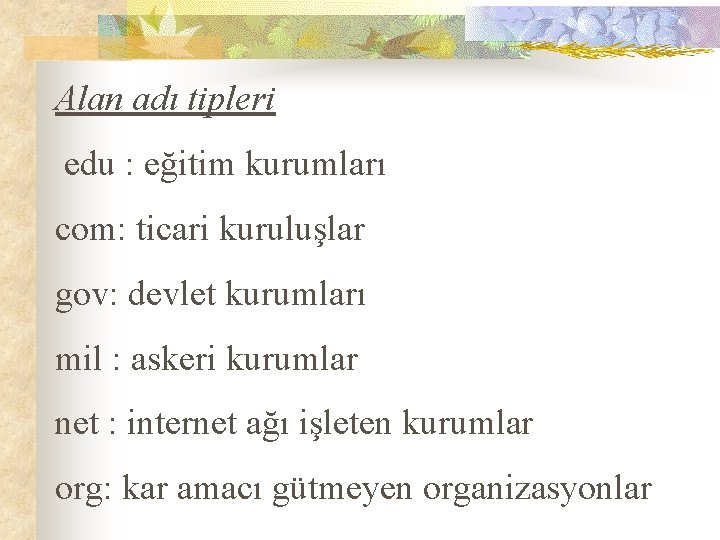 Alan adı tipleri edu : eğitim kurumları com: ticari kuruluşlar gov: devlet kurumları mil