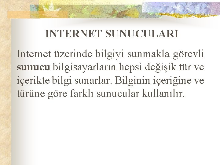 INTERNET SUNUCULARI Internet üzerinde bilgiyi sunmakla görevli sunucu bilgisayarların hepsi değişik tür ve içerikte