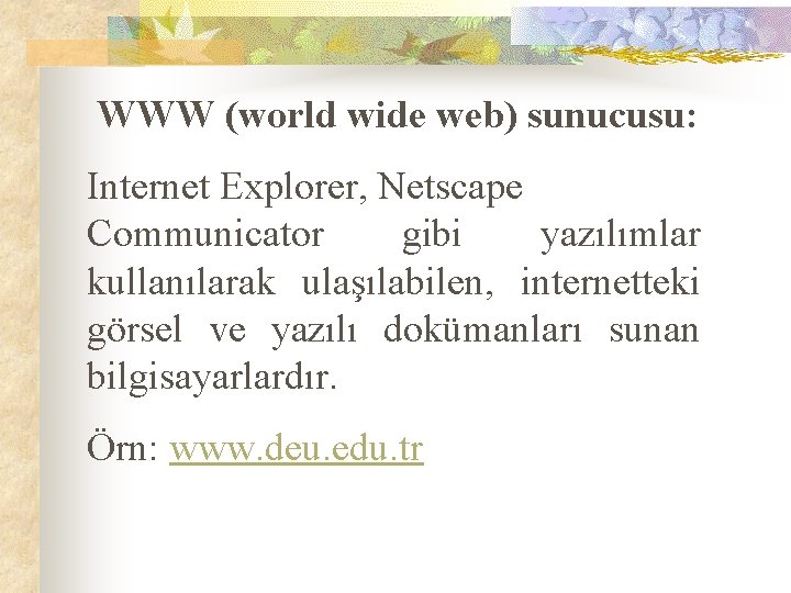  WWW (world wide web) sunucusu: Internet Explorer, Netscape Communicator gibi yazılımlar kullanılarak ulaşılabilen,