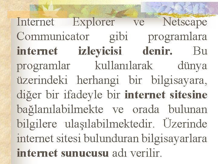 Internet Explorer ve Netscape Communicator gibi programlara internet izleyicisi denir. Bu programlar kullanılarak dünya