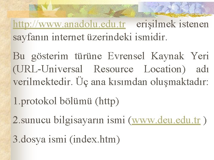 http: //www. anadolu. edu. tr erişilmek istenen sayfanın internet üzerindeki ismidir. Bu gösterim türüne