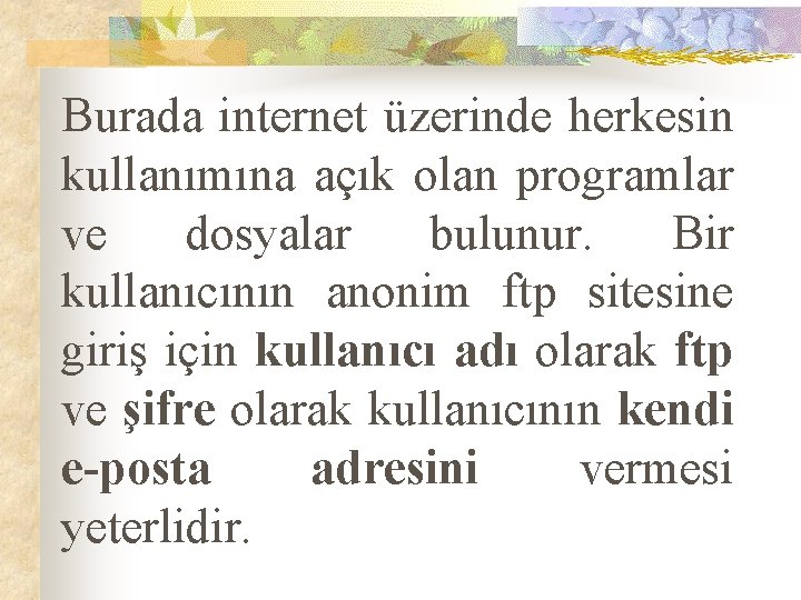 Burada internet üzerinde herkesin kullanımına açık olan programlar ve dosyalar bulunur. Bir kullanıcının anonim