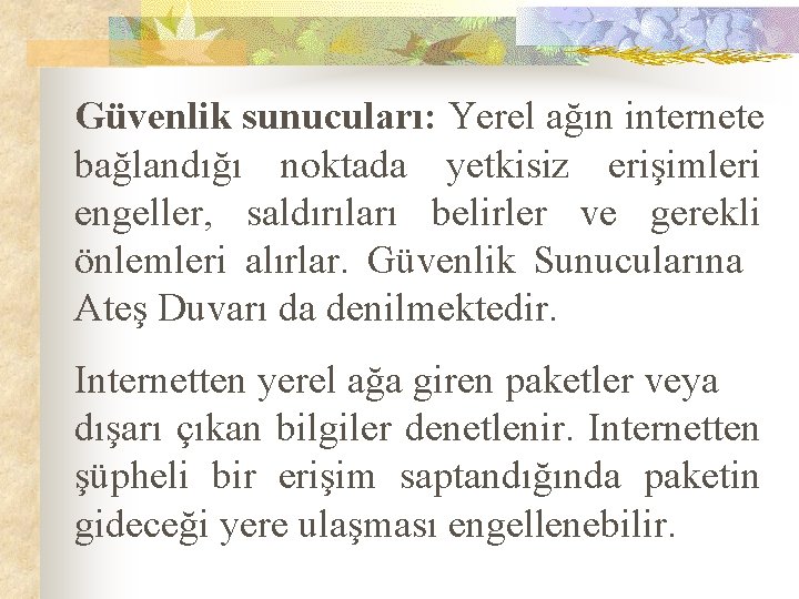 Güvenlik sunucuları: Yerel ağın internete bağlandığı noktada yetkisiz erişimleri engeller, saldırıları belirler ve gerekli