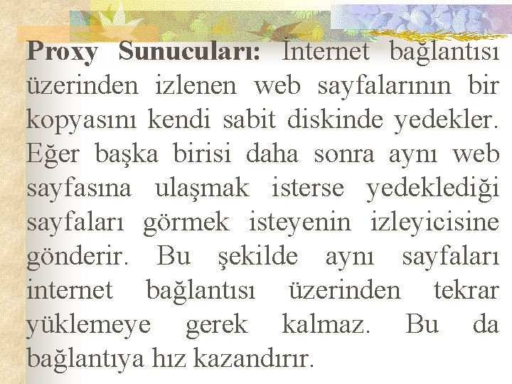 Proxy Sunucuları: İnternet bağlantısı üzerinden izlenen web sayfalarının bir kopyasını kendi sabit diskinde yedekler.