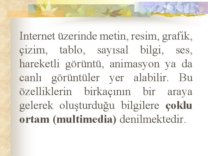 Internet üzerinde metin, resim, grafik, çizim, tablo, sayısal bilgi, ses, hareketli görüntü, animasyon ya