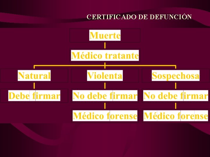 CERTIFICADO DE DEFUNCIÓN 