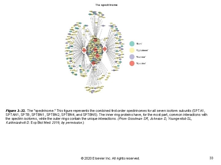 Figure 3– 32. The “spectrinome. ” This figure represents the combined first-order spectrinomes for Figure 3– 32. The “spectrinome. ” This figure represents the combined first-order spectrinomes for