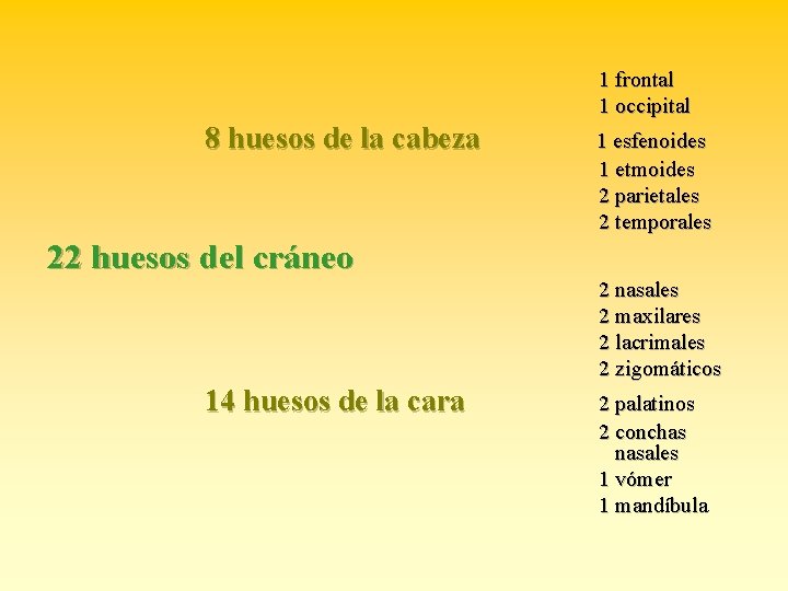 1 frontal 1 occipital 8 huesos de la cabeza 1 esfenoides 1 etmoides 2