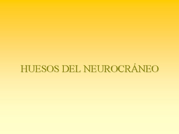 HUESOS DEL NEUROCRÁNEO 