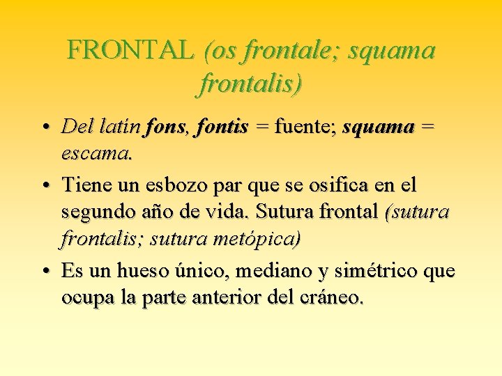 FRONTAL (os frontale; squama frontalis) • Del latín fons, fontis = fuente; squama =