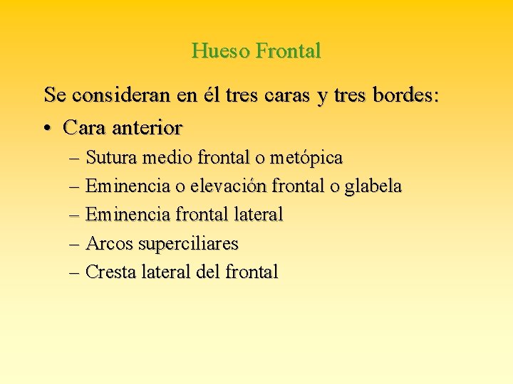 Hueso Frontal Se consideran en él tres caras y tres bordes: • Cara anterior