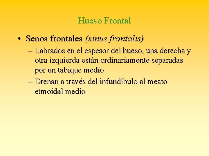 Hueso Frontal • Senos frontales (sinus frontalis) – Labrados en el espesor del hueso,