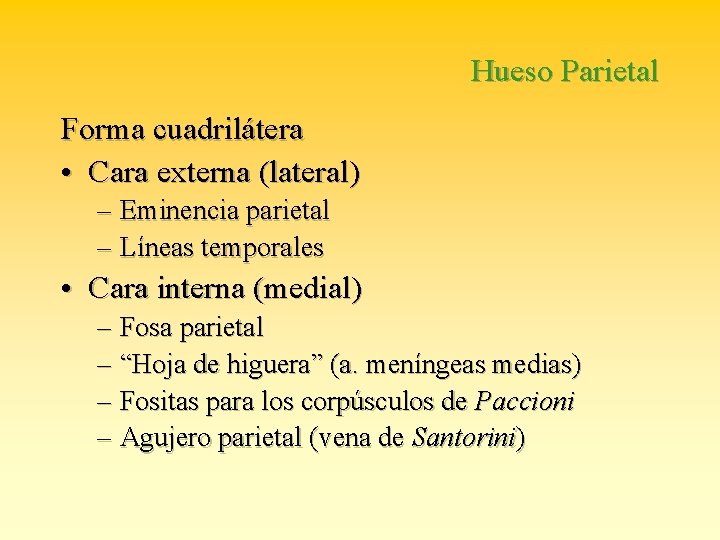 Hueso Parietal Forma cuadrilátera • Cara externa (lateral) – Eminencia parietal – Líneas temporales