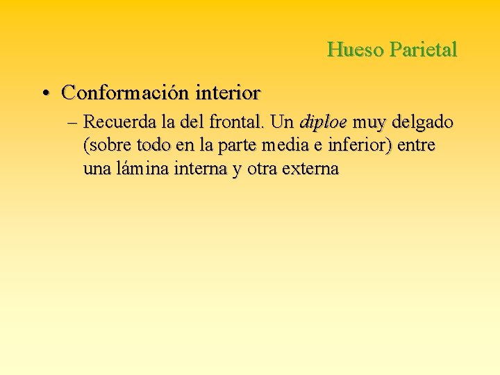 Hueso Parietal • Conformación interior – Recuerda la del frontal. Un diploe muy delgado