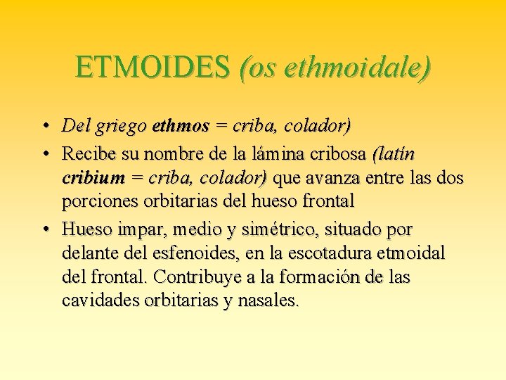 ETMOIDES (os ethmoidale) • Del griego ethmos = criba, colador) • Recibe su nombre