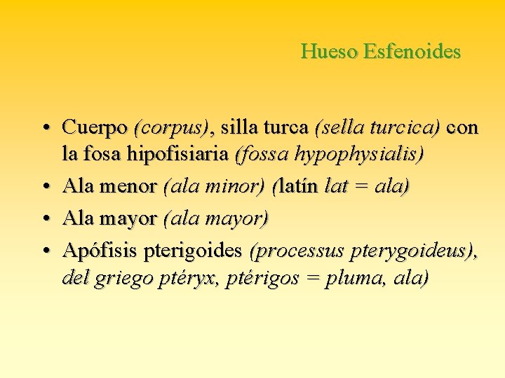 Hueso Esfenoides • Cuerpo (corpus), silla turca (sella turcica) con la fosa hipofisiaria (fossa