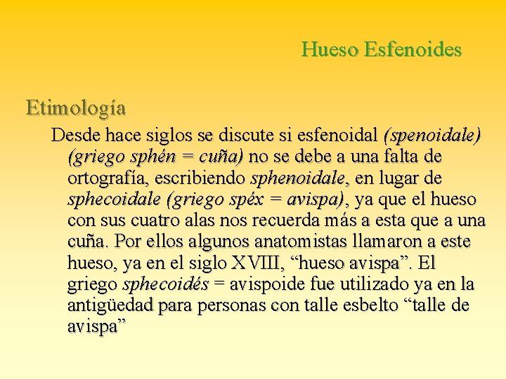Hueso Esfenoides Etimología Desde hace siglos se discute si esfenoidal (spenoidale) (griego sphén =