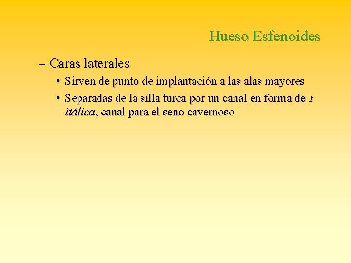 Hueso Esfenoides – Caras laterales • Sirven de punto de implantación a las alas