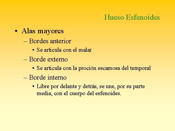 Hueso Esfenoides • Alas mayores – Bordes anterior • Se articula con el malar