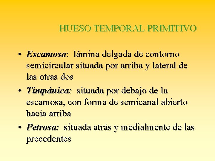 HUESO TEMPORAL PRIMITIVO • Escamosa: lámina delgada de contorno semicircular situada por arriba y