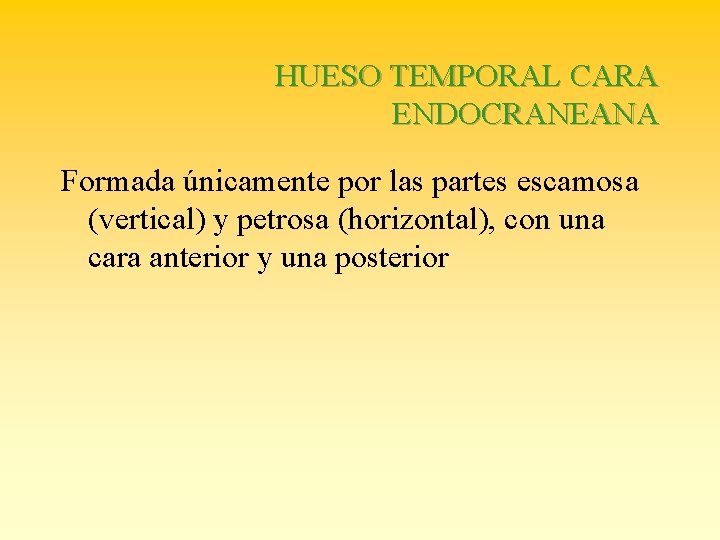 HUESO TEMPORAL CARA ENDOCRANEANA Formada únicamente por las partes escamosa (vertical) y petrosa (horizontal),