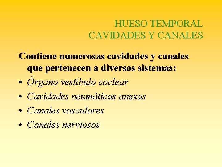 HUESO TEMPORAL CAVIDADES Y CANALES Contiene numerosas cavidades y canales que pertenecen a diversos